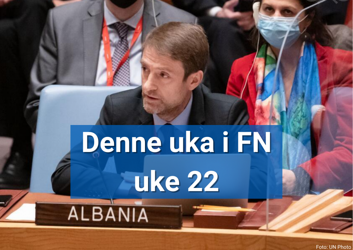 Albania har presidentskapet i FNs sikkerhetsråd i juni. Landets FN-ambassadør Ferit Hoxha vil orientere pressen om programmet denne onsdagen. Foto: UN Photo/ Mark Garten